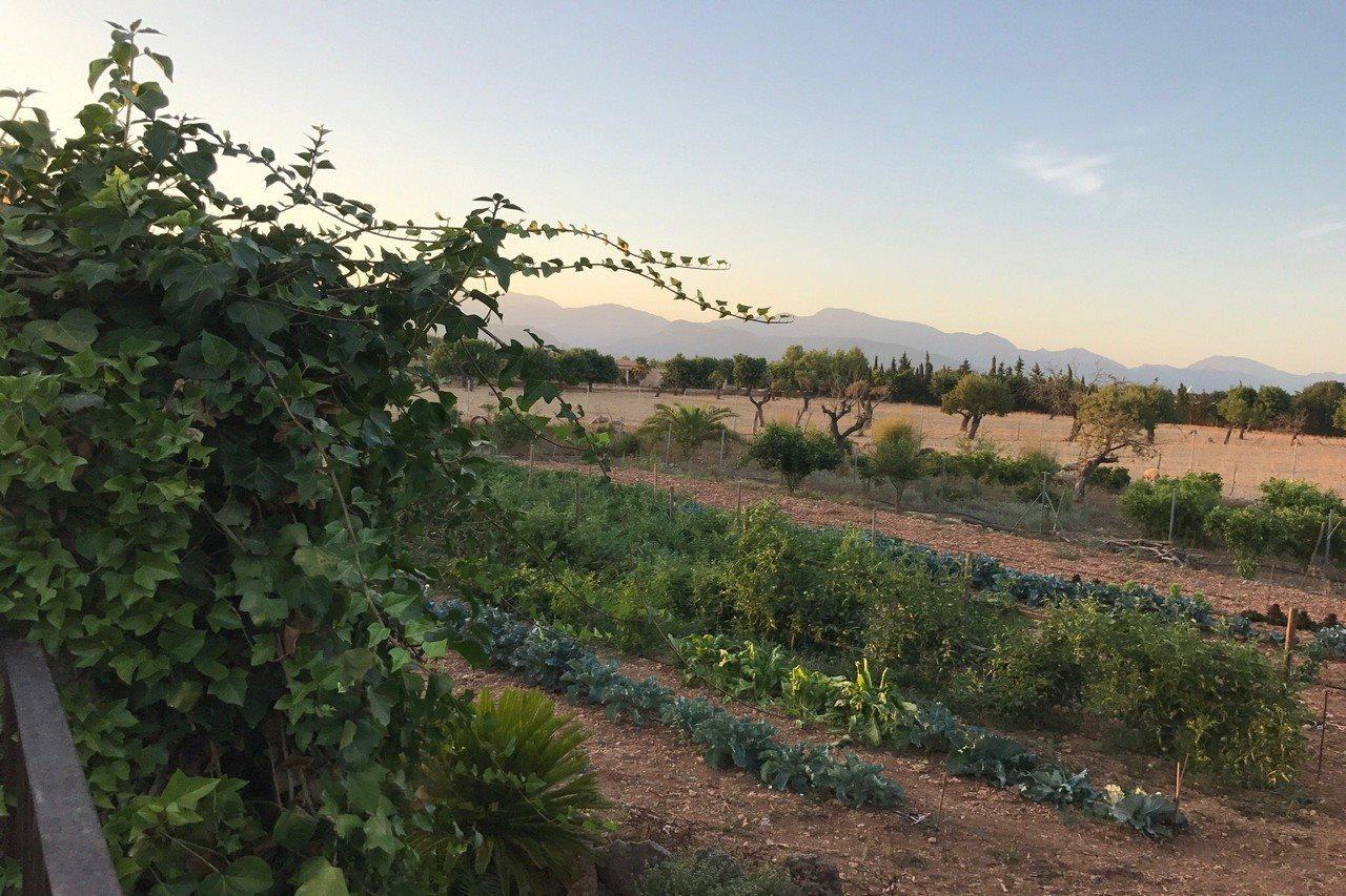Agroturismo Es Quatre Cantons 비니살렘 외부 사진