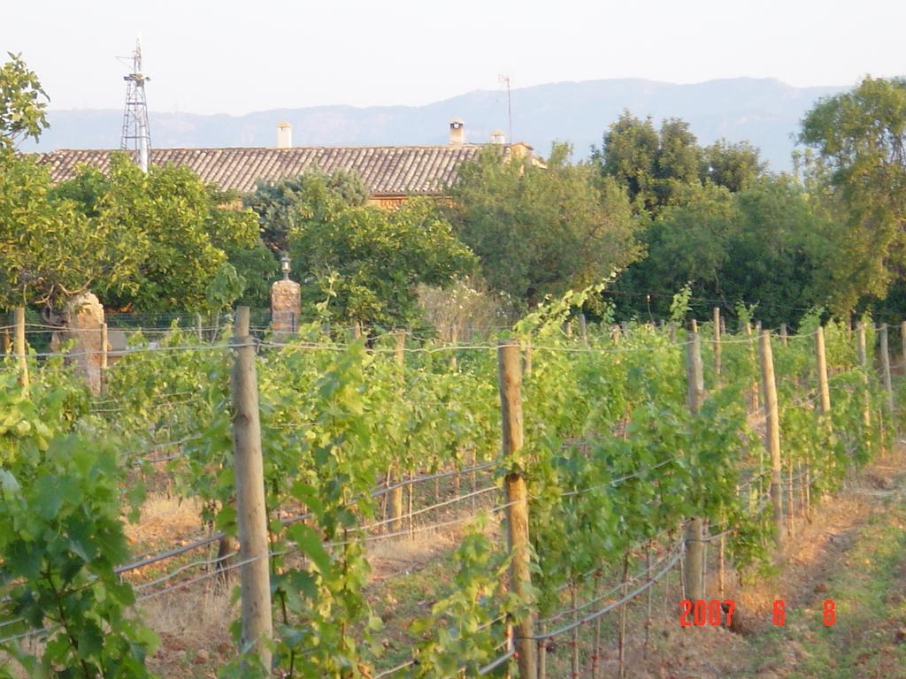 Agroturismo Es Quatre Cantons 비니살렘 외부 사진