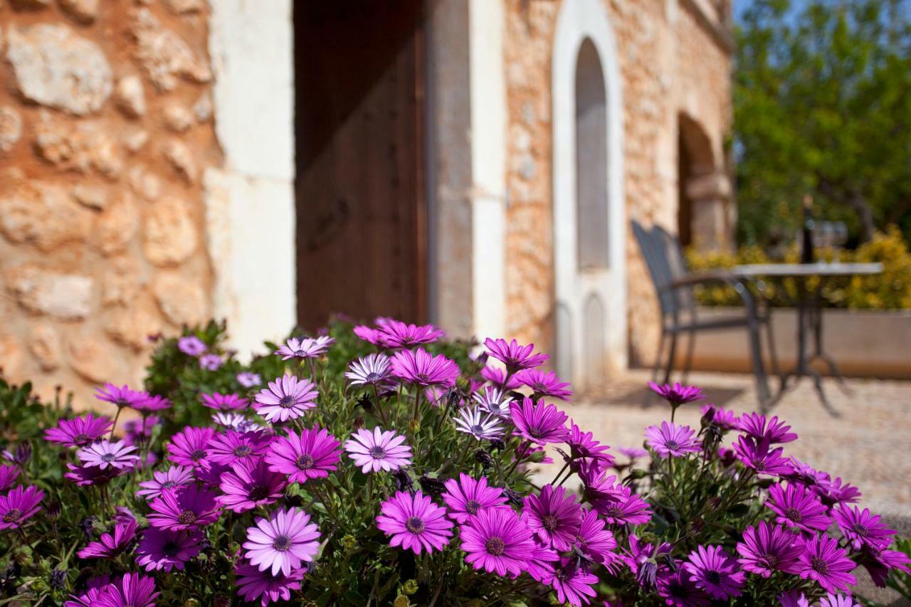 Agroturismo Es Quatre Cantons 비니살렘 외부 사진